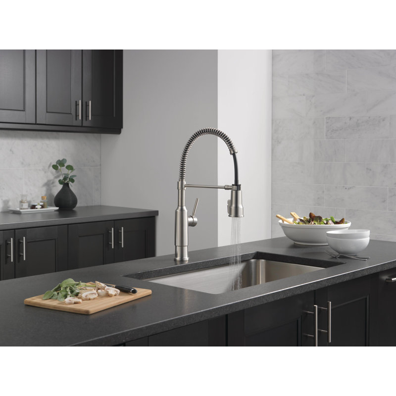 Robinet d'évier de cuisine Theodora Pro, Acier inoxydable Spotshield