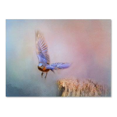 «Bluebird Escape» de Vidur, impression sur toile tendue