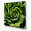 Art mural en métal légumes vert laitue romaine-620818423