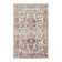 Alexzandar Ikat Indoor Rug