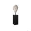 Venus Head On Stand Set Of 2