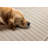 Martaveous Textured Lines Greige Area Rug-610347592