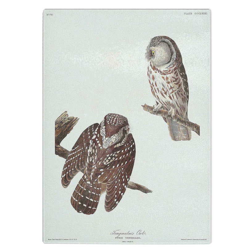 Tempered Glass Tenmalms Owls by John James Audubon Chopping Board, 20 cm W x 28.5 cm L
