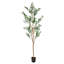 Olive artificielle - H 5 pi-281238400