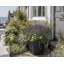 Daisy Square Stone Effect Planter Pot, Indoor and Outdoor Plant Pot, Frost Resistant with Drainage Hole-322213146-322213151