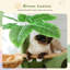Alminus 110cm H Cat Tree