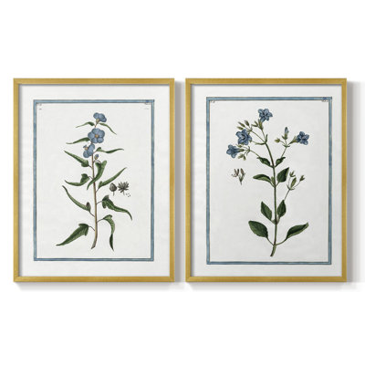 Shabby Elegance Botanical I-Premium Framed Print -Ready to Hang - No Nails Required - No Nails Required