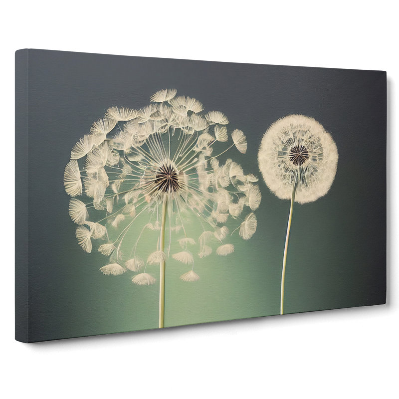 Wholesome Dandelion Flowers - Wrapped Canvas, 40cm H x 60cm W x 3cm D