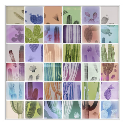 Analog Cacti Print by THE Studio