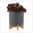 S/2 8/10" PLANTER W/ WOOD STAND-1145063163