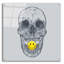 «Skull Have A Nice Day» par Rachel Caldwell, art mural en verre acrylique-664468228