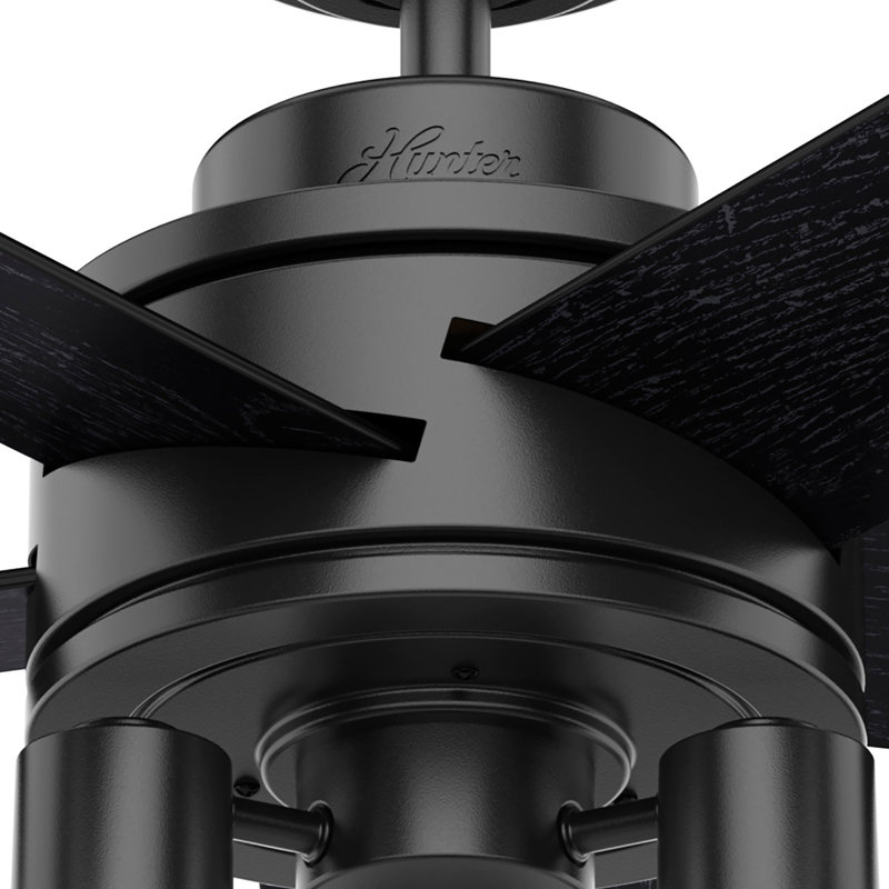 Matte Black 44" Ceiling Fan with LED Light and Remote Control