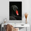 Tête de cygne noir Brampt-108450093