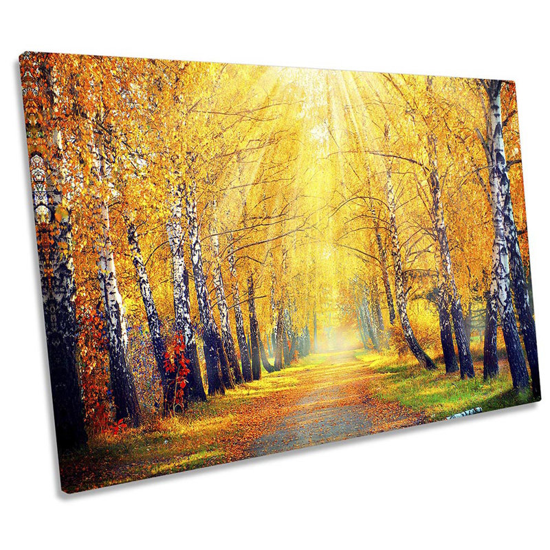Autumn Park Trees Sun Rays - Wrapped Canvas Print, 40.6cm H x 61cm W 