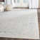Alston Performance Oriental Rug