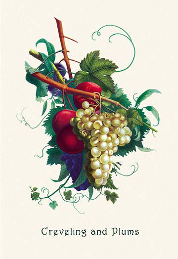 "raisins et prunes creveling" , impression, 66" H x 44" W x 1.5" D