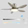 Antsje 122cm Ceiling Fan with LED Lights