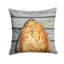  Coussin Fish Flounder