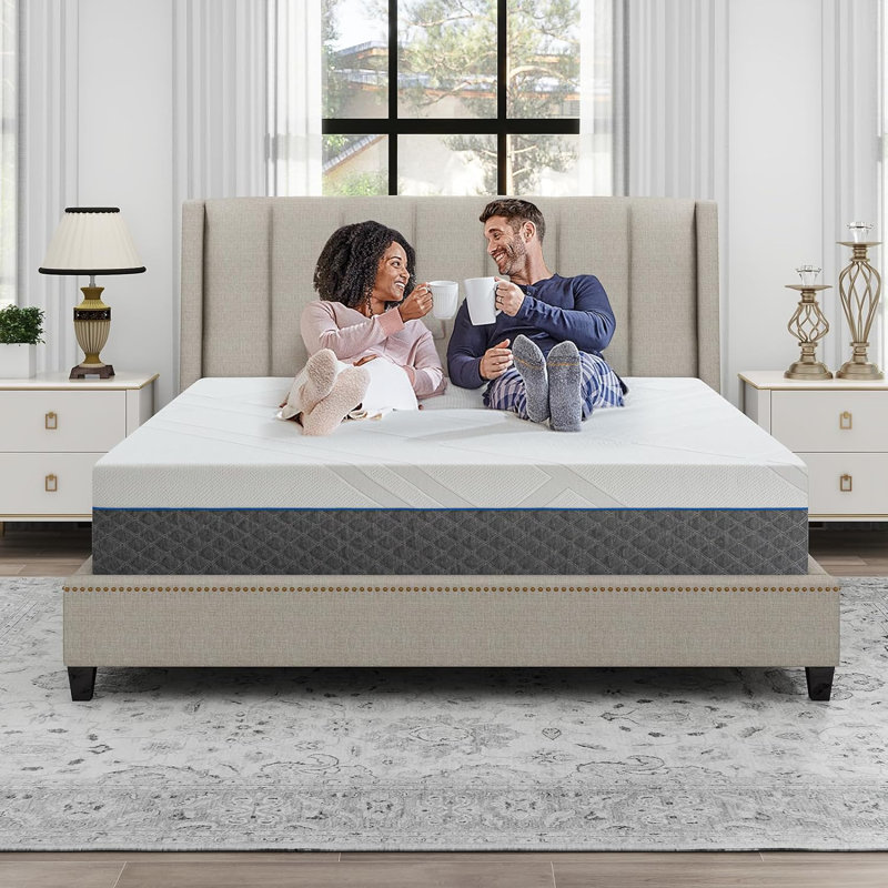 Alwyn Home 12" Medium Memory Foam Mattress IN A Box, Twin XL