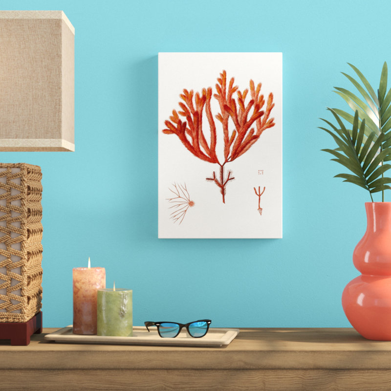 Striking Seaweed II by Vision Studio - Graphic Art Print, 46cm H x 30cm W, Wrapped Canvas
