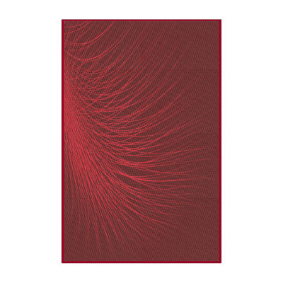 Indoor Rug