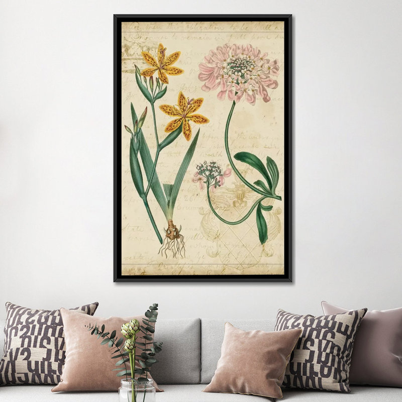 « botanique répertoire i », reproduction d’impression sur toile tendue, H 60 po x l 40po x P 1,5 po, Toile encadrée noire