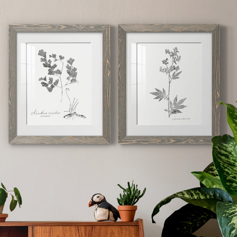 Botanical Imprint I - Ensemble de 2 peintures encadrées, Papier encadré blanc, H 20 po x l 34 po x P 1,5 po