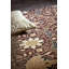 Hand Knotted Wool Floral Area Rug in Leafy Arbour Green-1956808115