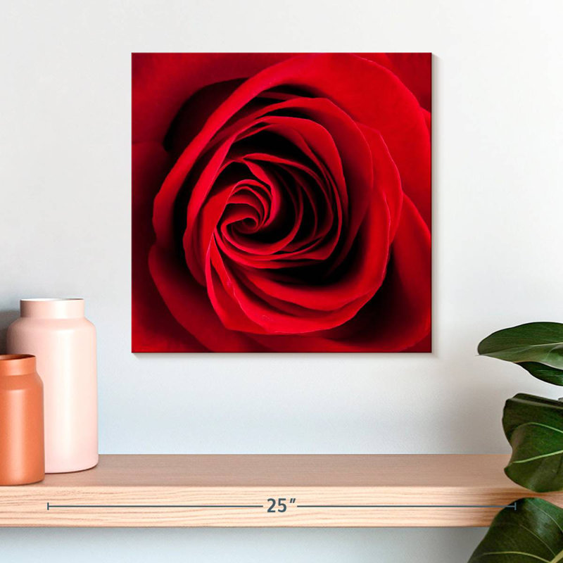 Rose rouge Arney en fleurs, H 16 po x l 16 po