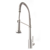 Apollo Pull Down Single Handle Kitchen Faucet with Side Spray and Accessories