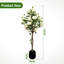 150 cm Lifelike Artificial Rose Tree – Realistic White Flowers, Thick Trunk, Decorative Faux Potted Topiary for Indoor/Outdoor Home & Office – Black Round Belly Pot-671618745