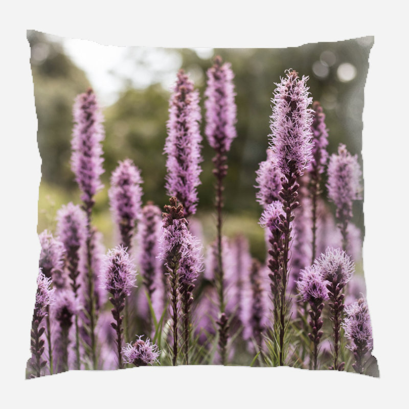 Coussin décoratif fleur Rideout, Microsuède, Intérieur