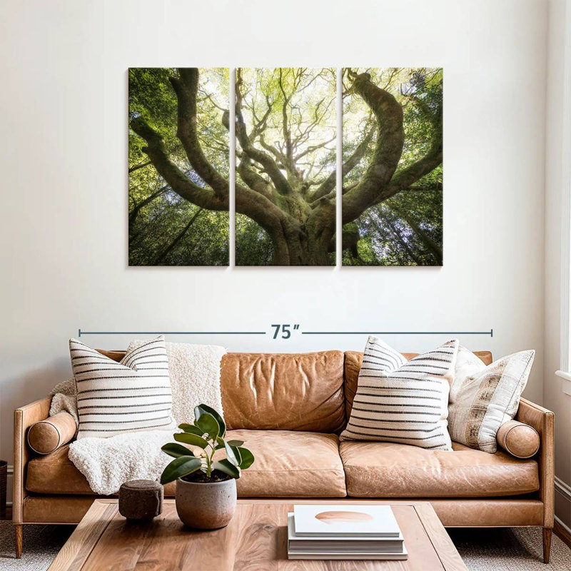 Harnek The Old Octopus Beech, 36" H x 57" W