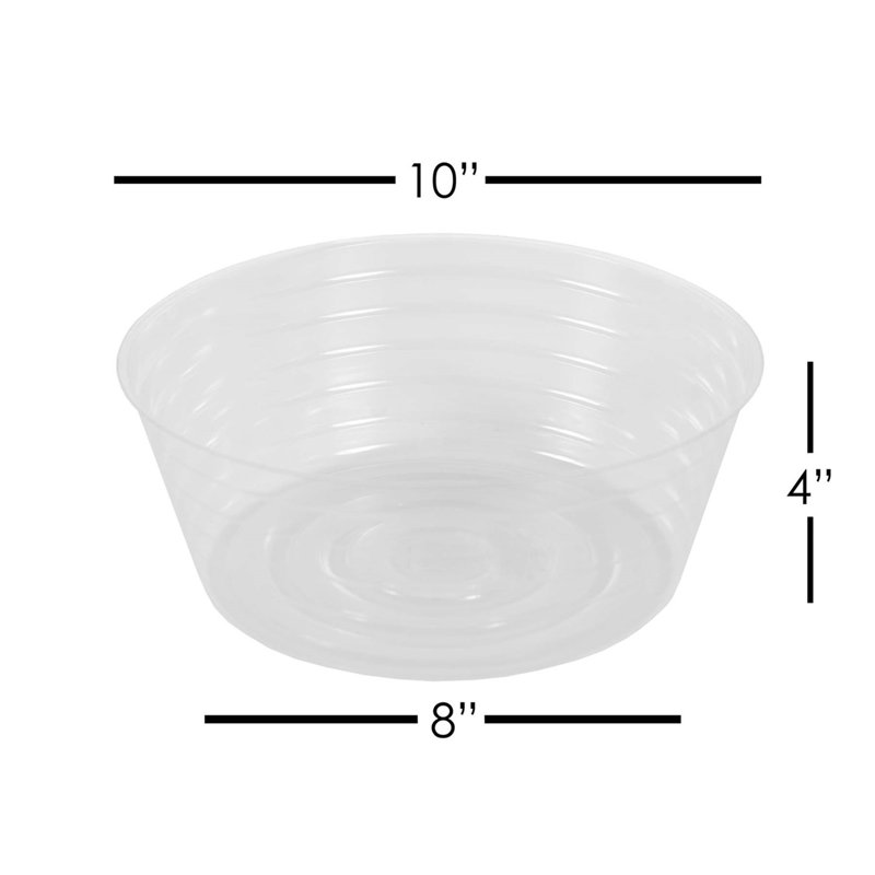 Saucer Plant Stand