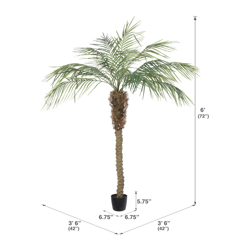 Aleda Artificial Potted Pheonix Palm Tree., 72" H x 42" W x 42" D