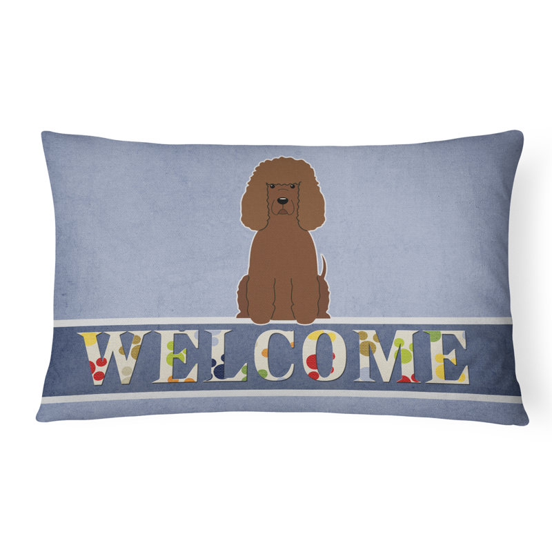  Coussin Irish Water Spaniel