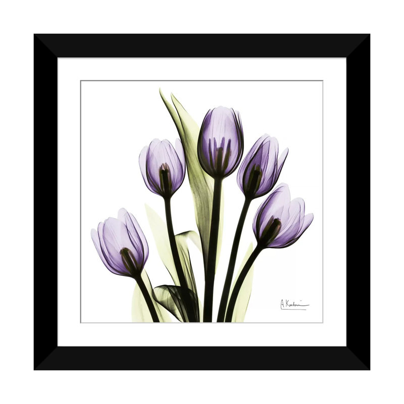 «Tulips Imagine», impression sur toile, H 24 po x l 24 po x P 1 po, Papier d'art encadré noir, Blanc