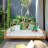 Beore Solid Wood Daybed with Mattress