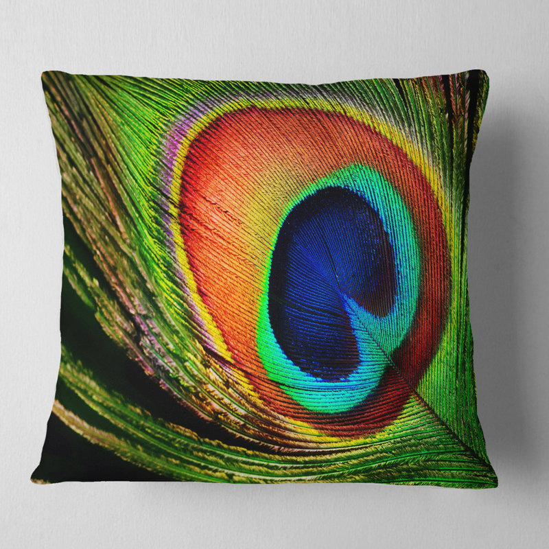 Coussin de photographie à plumes peacock, Coussin décoratif, 16 po x 1 po
