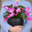 Pot à fleurs globos intérieur / extérieur Kute Nest - noir Tricorn P 12 po (ouverture 7,8 po)-114366456-114366458