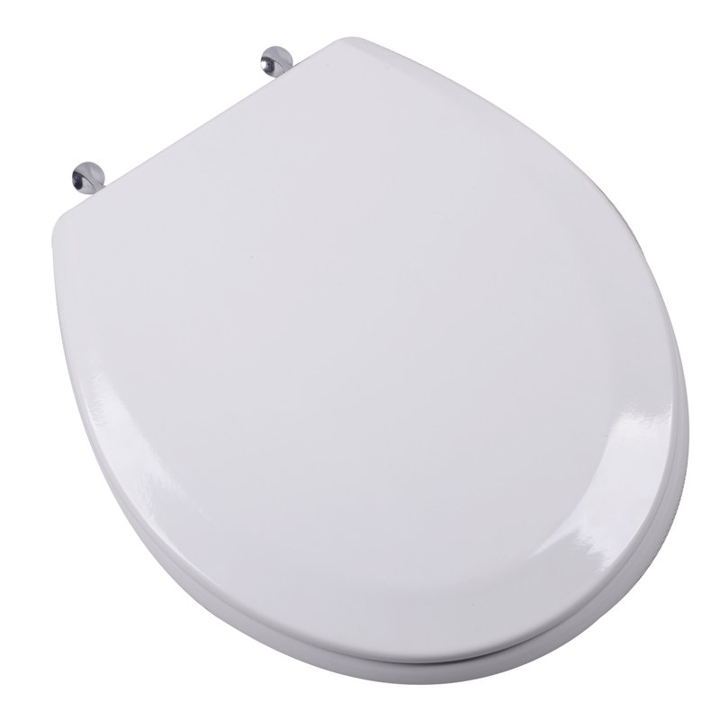Round Toilet Seat and Lid, White, Brushed Nickel