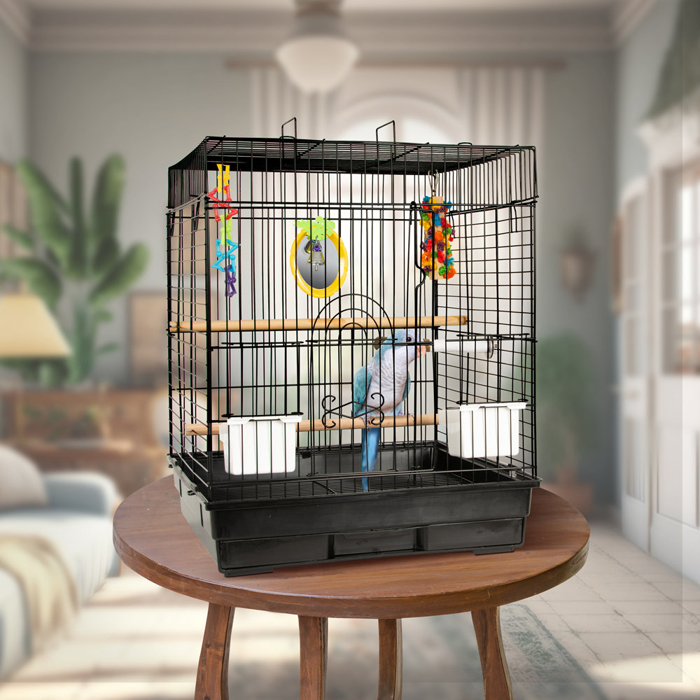 Snapshot of Macaw Cage Kits For Beginners