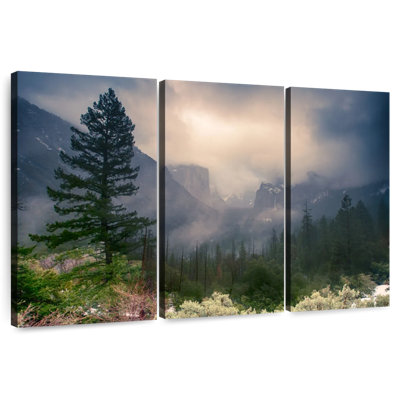 Alvord Foggy Yosemite National Park