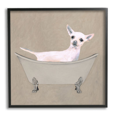 Baignoire Chihuahua