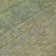 Machine Washable Indoor/Outdoor Christain ACN1294 Fern Rug