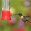 Mangeoire pour colibris Elser
