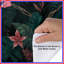 Housses de couette Lush Tropical-129084187