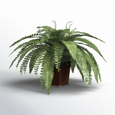 23'' Faux Fern Plant in Wicker/Rattan Pot
