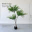 Arbre de bambou céleste 5,5 pi avec folioles vert vif et tronc fourchu naturel dans un pot de fleurs noir
