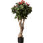 121.92cm Faux Flowering Tree in Planter